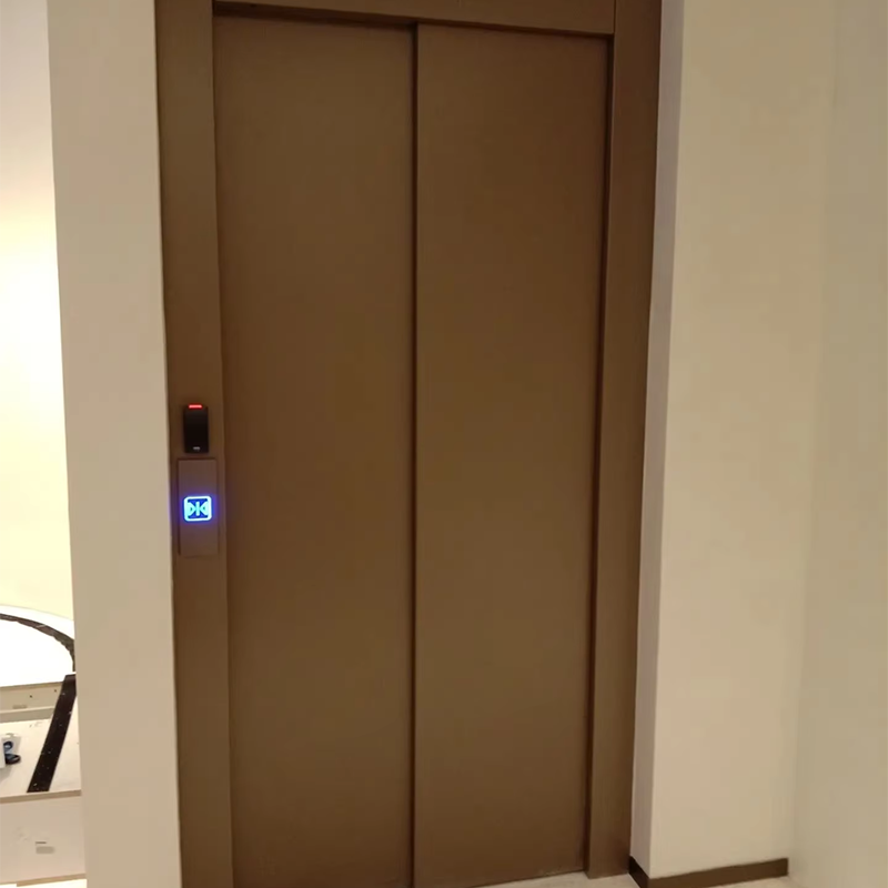 VTEP111Ascenses 高度な安全機能を備えたカスタマイズ可能な乗客用エレベーター