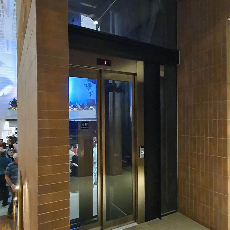 VTEP119 Ascenses の多階建ての建物のための旅客エレベーターのギアレス AC ISO9001 はステンレス鋼の容易な取付けを証明しました