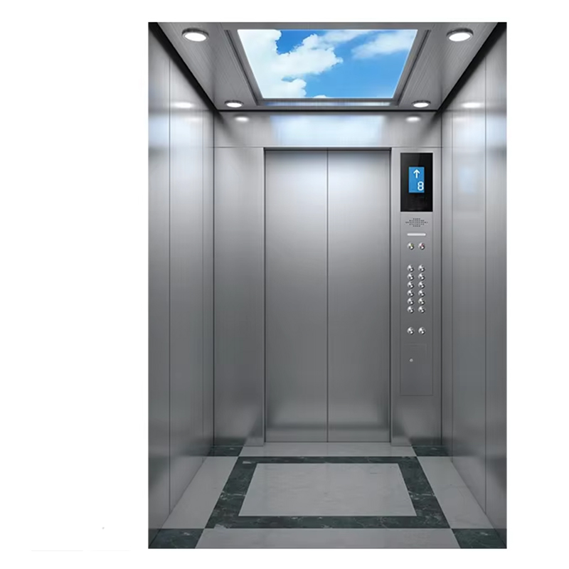 VTEP120 住宅用ヴィラ旅客エレベーター パノラマ ガラス ステンレス鋼構造の安全機能大容量
