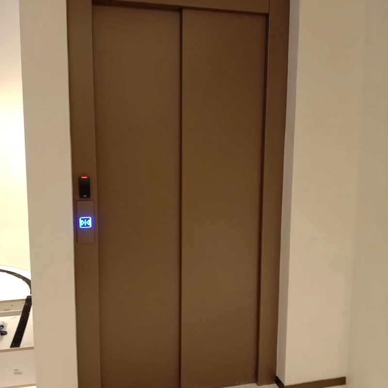 VTEP121 ホット販売 NV モデル 6-8 人 630kg ギアレス AC モダンなエレベータービル乗客リフトステンレス鋼 PVC 床