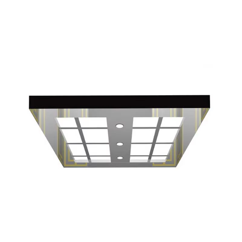 VTSP138 エレベーター近代化部品カスタマイズされたエレベーター天井 LED 照明ミラーステンレス鋼リフト天井